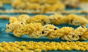 Archipel des Gambiers